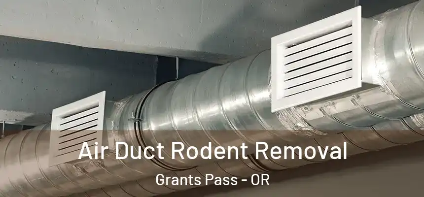  Air Duct Rodent Removal Grants Pass - OR