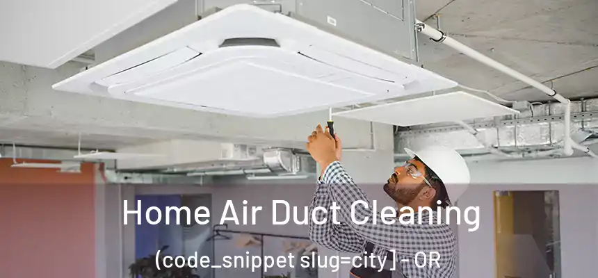  Home Air Duct Cleaning (code_snippet slug=city] - OR