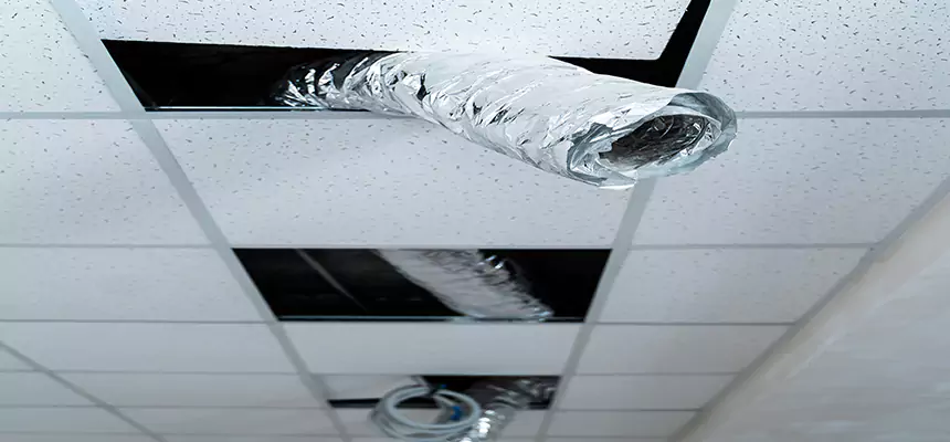 Our Air Duct Pet Hair Removal Services in Grants Pass, OR