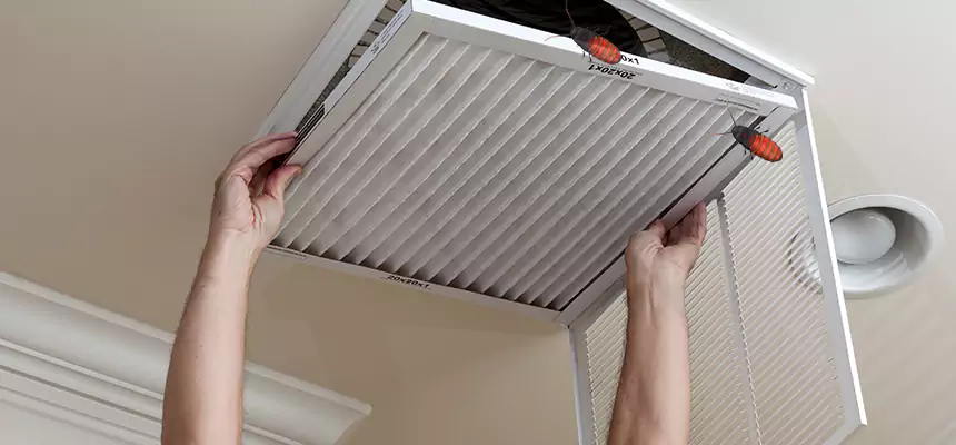 Our Insect Removal from Air Ducts Services in Grants Pass, OR