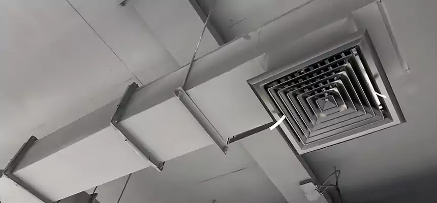 Our Rodent Droppings In Vents Services in Grants Pass, OR