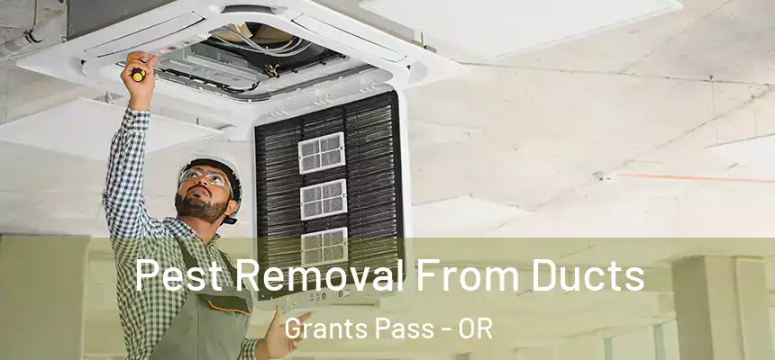  Pest Removal From Ducts Grants Pass - OR