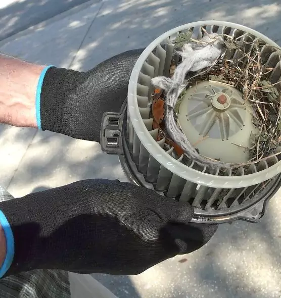 About Air Duct Rat Removal in Grants Pass, OR