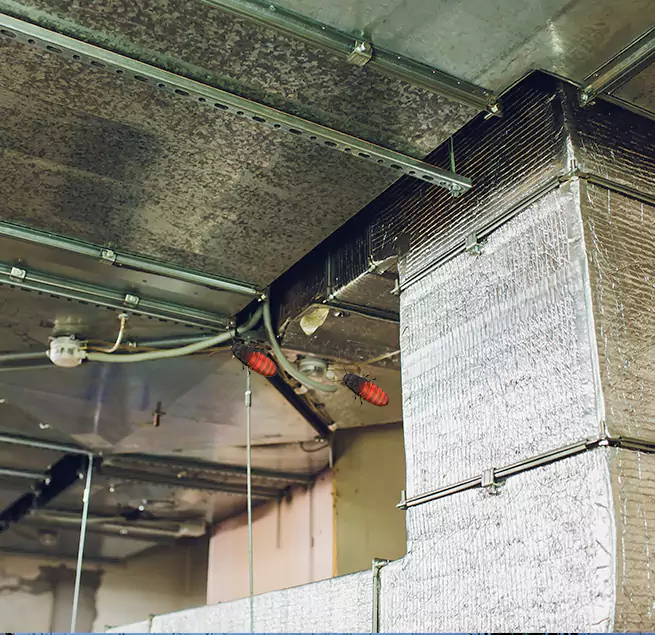 Why Homeowners & Businesses Trust Us in Grants Pass, OR?