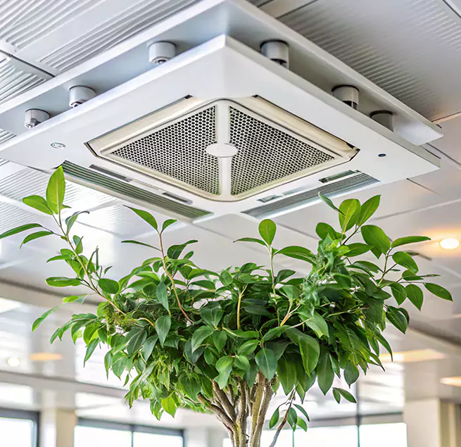 Why Homeowners & Businesses Trust Us in Grants Pass, OR?